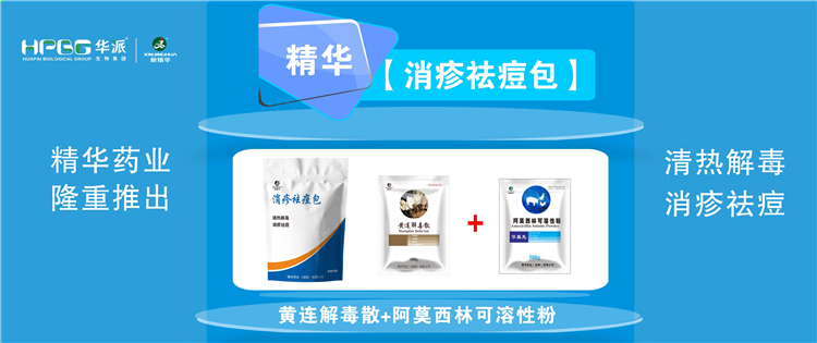 科普：夏秋季节猪湿疹病的防控技术 |【消疹祛痘包】清热解毒、消疹祛痘，防控家畜湿疹病首选！