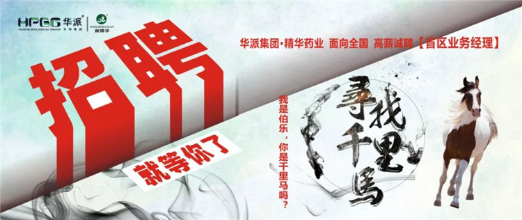 寻找千里马 | 华派集团&bull;精华药业面 向全国高薪诚聘【省区业务经理】 我是伯乐，你是千里马吗？