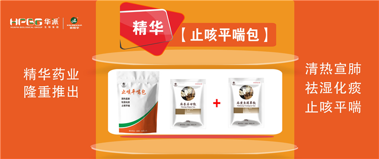 科普：畜禽呼吸道疾病的防控技术 |【止咳平喘包】清热宣肺、祛湿化痰、止咳平喘，畜禽呼吸道疾病引起的各种咳喘防控首选！
