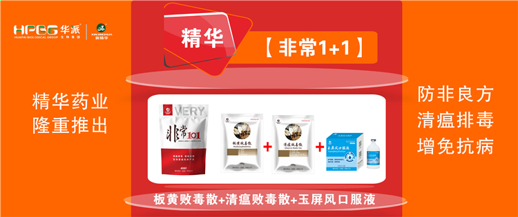 科普：非洲猪瘟防控措施 |【非常1+1】防非良方, 清瘟排毒、增免抗病，加快猪瘟抗体产生!